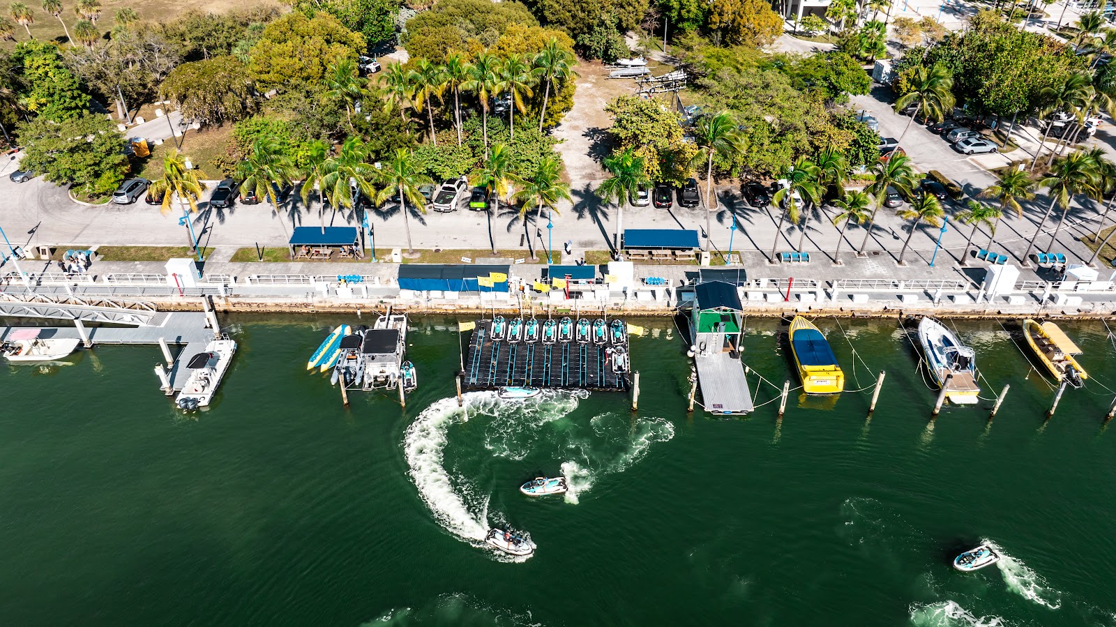 Flyboard at Miami Watersports — Miami, Dinner Key Marina